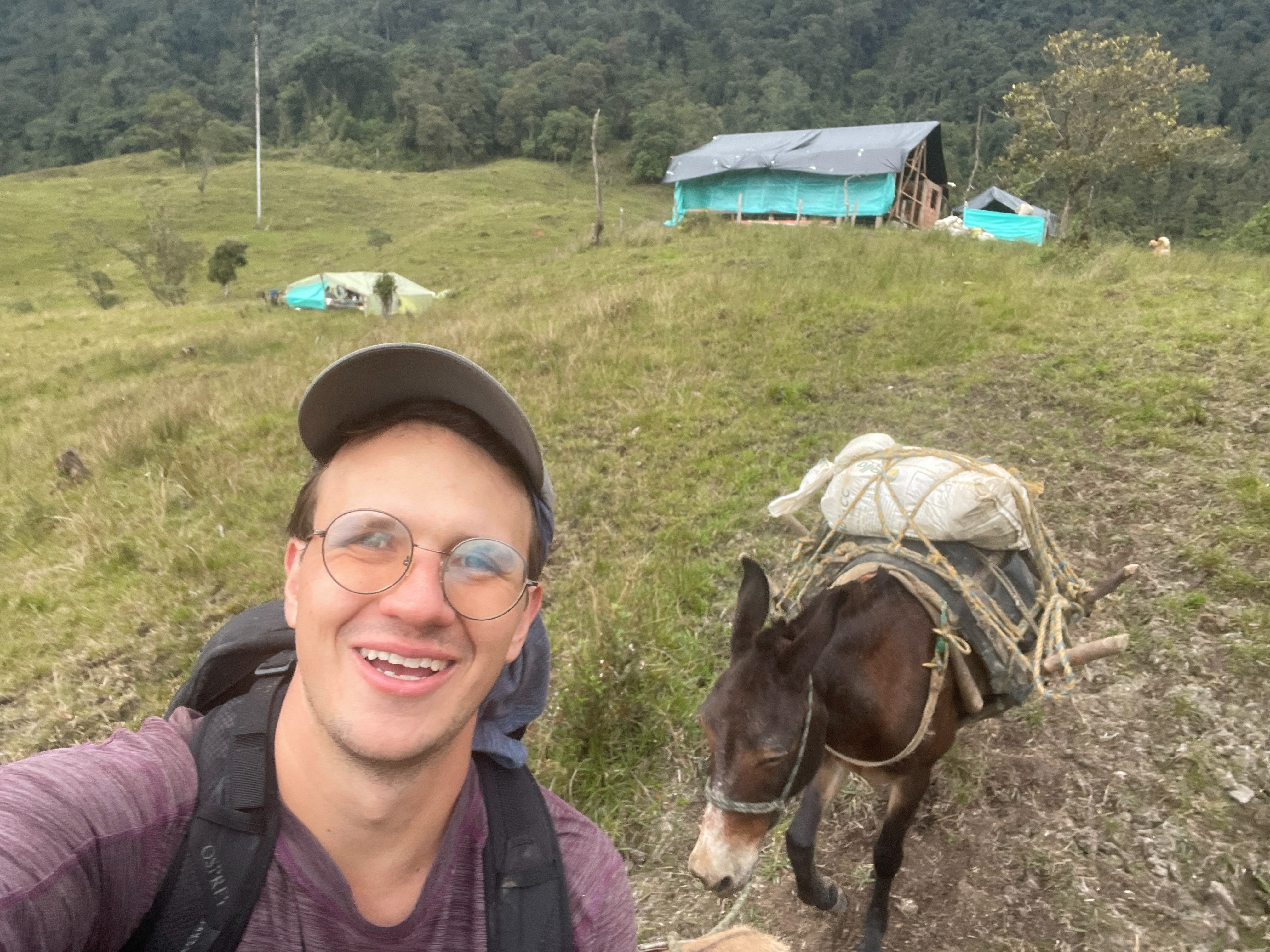 Nicolás junto a una mula de carga, con la cabaña en construcción al fondo